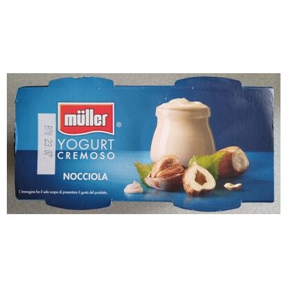 Müller кремовый йогурт со вкусом фундука, 2 х 125 г