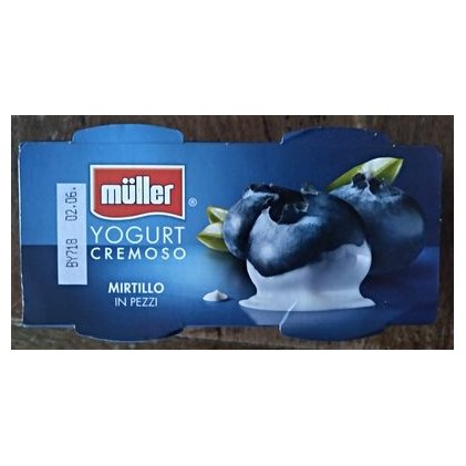 Müller creamy blueberry yogurt, 2x125 g