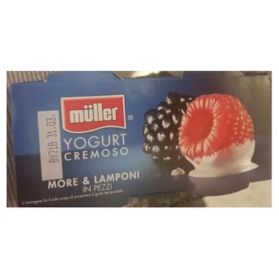Müller creamy blackberry and raspberry yogurt, 2x125 g