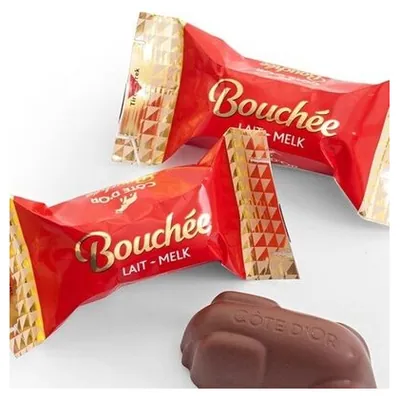 Cote d'Or milk chocolate Bouchée, 25 g