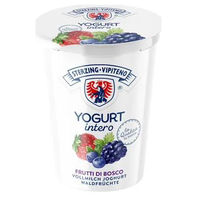 Vipiteno йогурт со вкусом лесных ягод, 500 г