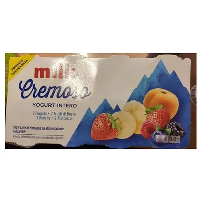 Milk creamy fruit yogurt, 125 g (8 pcs.)