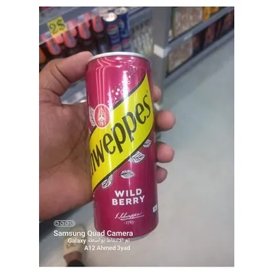Schweppes газированный напиток Wild Berry